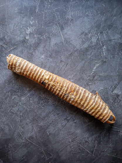 100% natural dog treat - trachea chew Long lasting