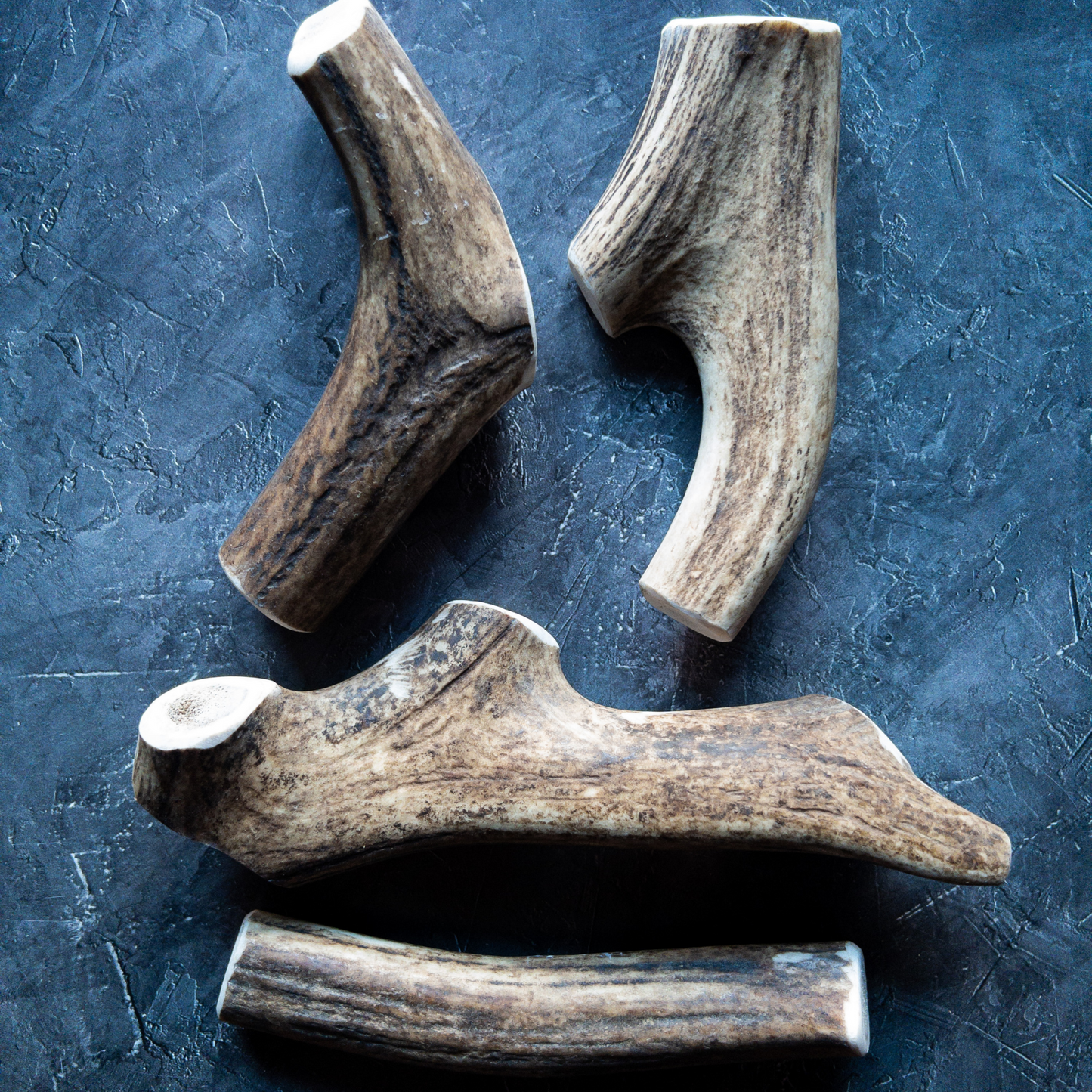 Antler Whole